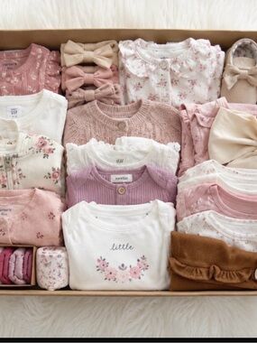 Baby Girl Clothing Bundle + free goodies